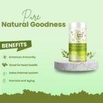 Tulsi Green Tea - Image 5